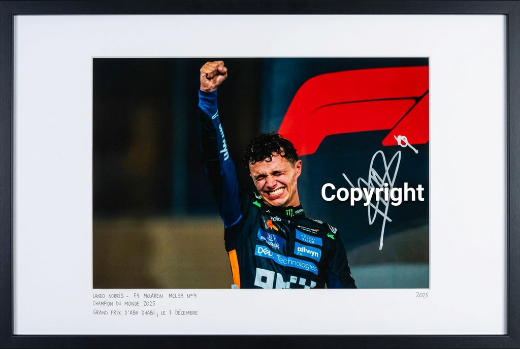 LANDO NORRIS