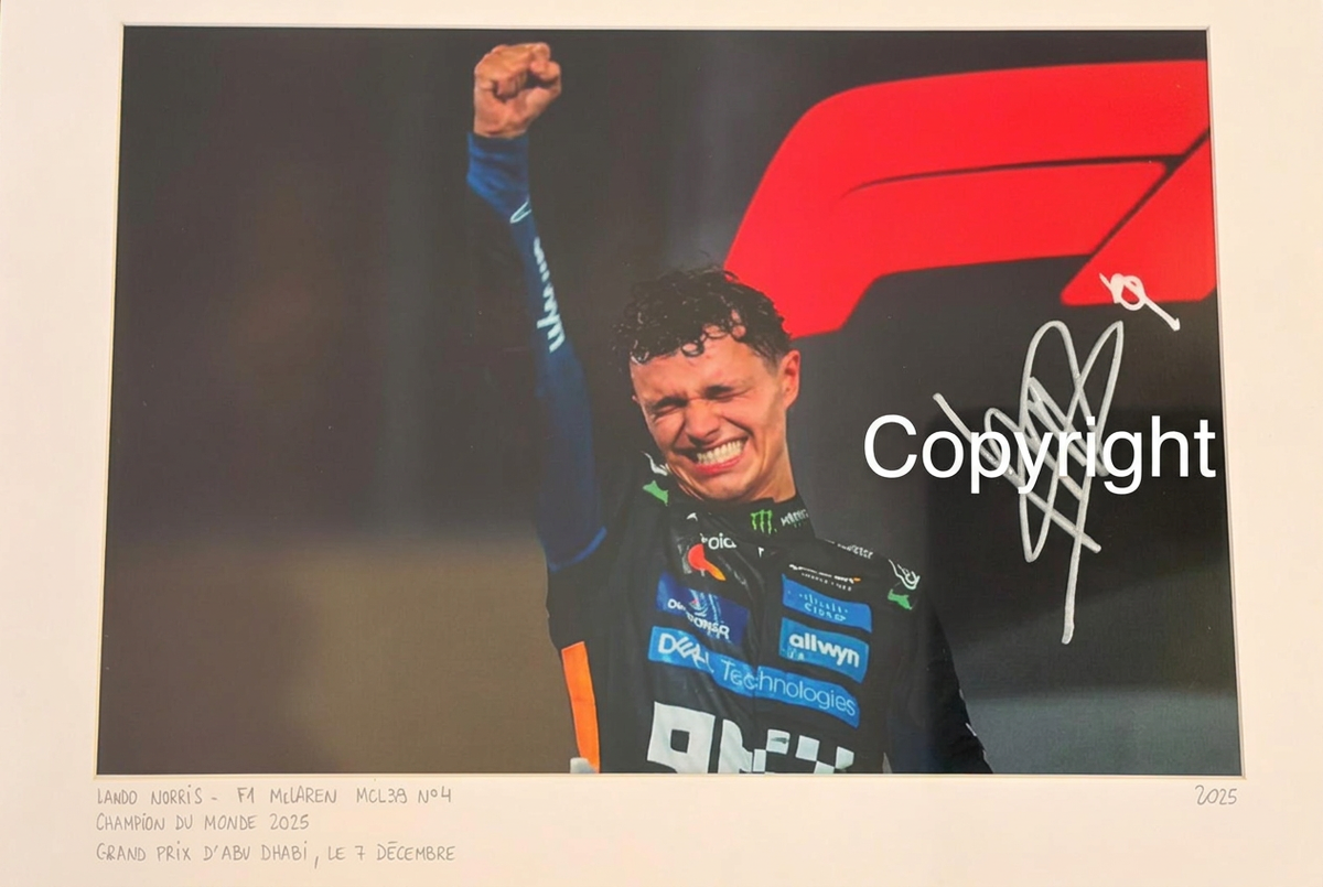 LANDO NORRIS