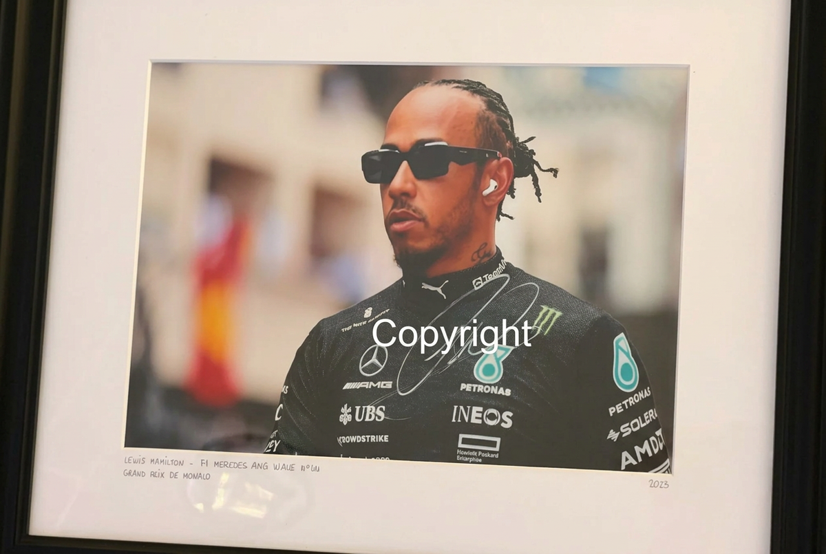 LEWIS HAMILTON - GRAND PRIX MOINACO
